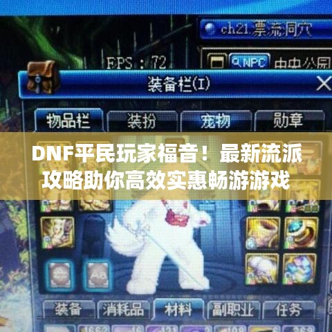 DNF平民玩家福音！最新流派攻略助你高效实惠畅游游戏