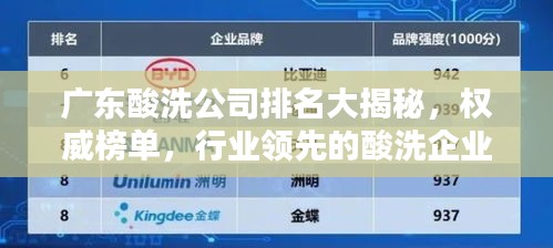 广东酸洗公司排名大揭秘，权威榜单，行业领先的酸洗企业！