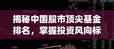 揭秘中国股市顶尖基金排名，掌握投资风向标！