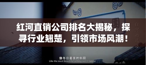 红河直销公司排名大揭秘，探寻行业翘楚，引领市场风潮！