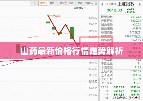 山药最新价格行情走势解析