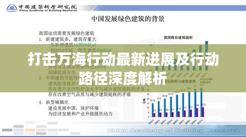 打击万海行动最新进展及行动路径深度解析