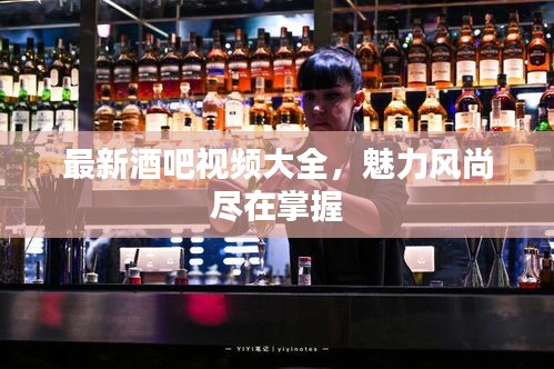 最新酒吧视频大全，魅力风尚尽在掌握