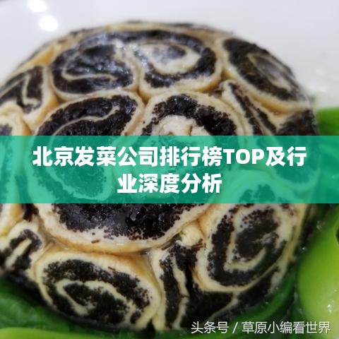 北京发菜公司排行榜TOP及行业深度分析