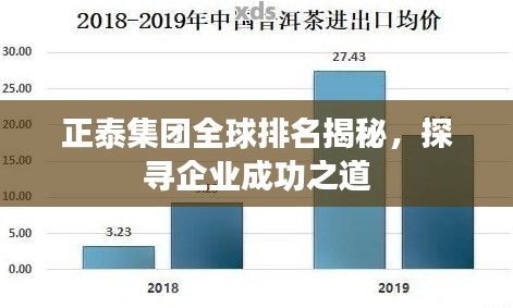 正泰集团全球排名揭秘，探寻企业成功之道