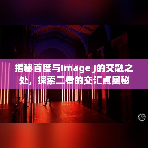 揭秘百度与Image J的交融之处，探索二者的交汇点奥秘