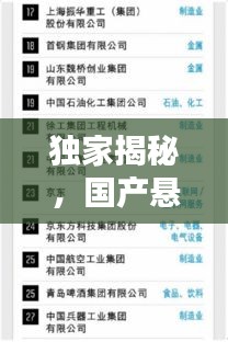 独家揭秘，国产悬浮物公司排名及行业影响力榜单