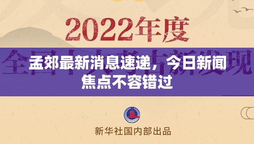 孟郊最新消息速递，今日新闻焦点不容错过