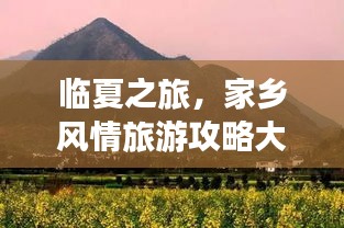 临夏之旅，家乡风情旅游攻略大揭秘！