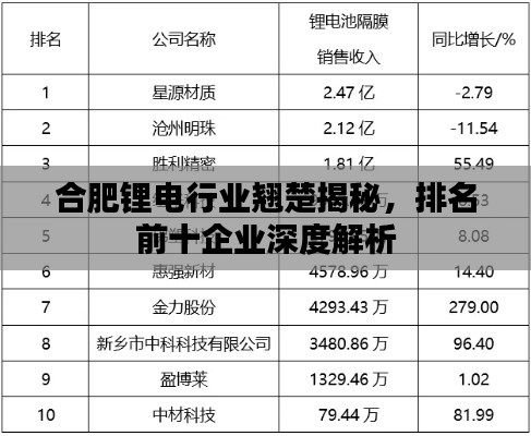 合肥锂电行业翘楚揭秘，排名前十企业深度解析