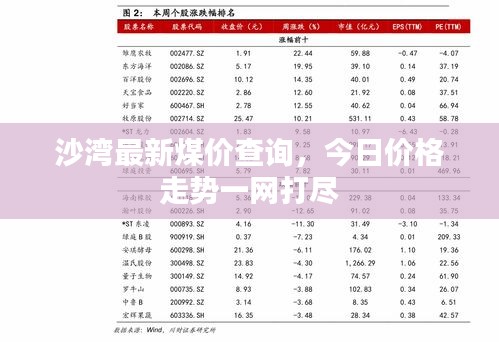 沙湾最新煤价查询，今日价格走势一网打尽