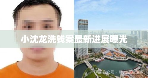 小沈龙洗钱案最新进展曝光