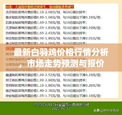 最新白羽鸡价格行情分析，市场走势预测与报价