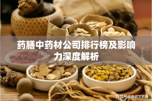 药膳中药材公司排行榜及影响力深度解析