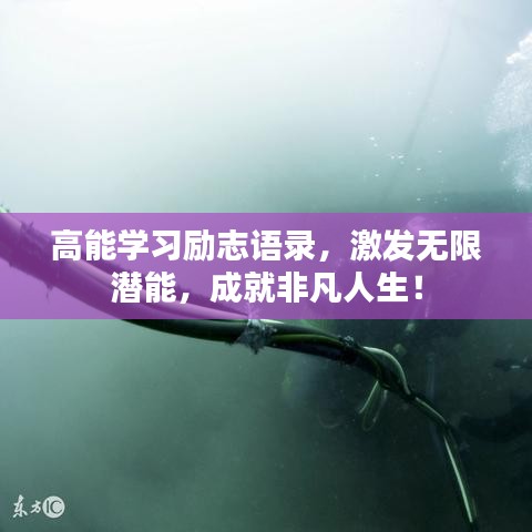 高能学习励志语录，激发无限潜能，成就非凡人生！