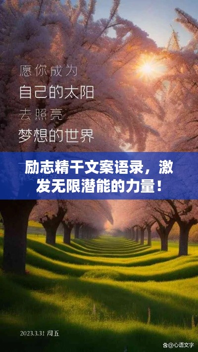 励志精干文案语录，激发无限潜能的力量！