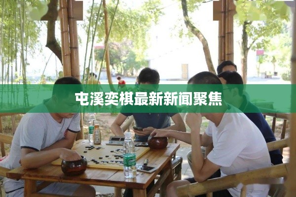 屯溪奕棋最新新闻聚焦