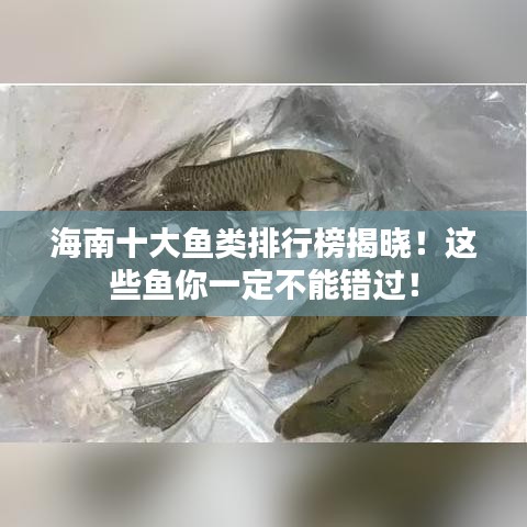 海南十大鱼类排行榜揭晓！这些鱼你一定不能错过！