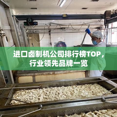 进口卤制机公司排行榜TOP，行业领先品牌一览