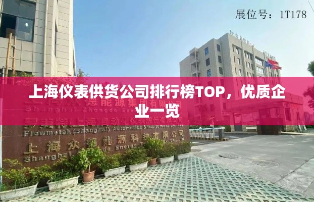 上海仪表供货公司排行榜TOP，优质企业一览