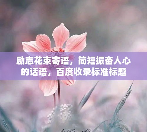 励志花束寄语，简短振奋人心的话语，百度收录标准标题