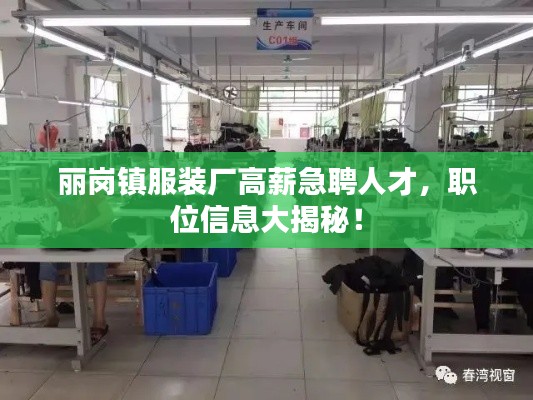 丽岗镇服装厂高薪急聘人才，职位信息大揭秘！