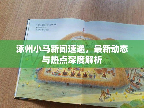 涿州小马新闻速递，最新动态与热点深度解析