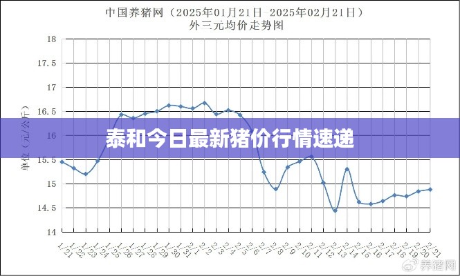 泰和今日最新猪价行情速递