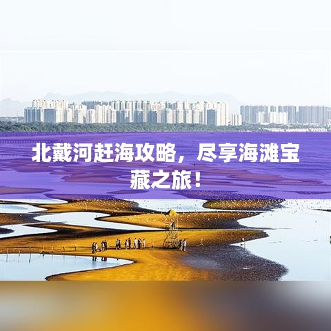 北戴河赶海攻略，尽享海滩宝藏之旅！