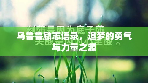 乌鲁鲁励志语录，追梦的勇气与力量之源