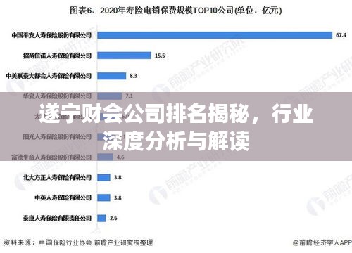 遂宁财会公司排名揭秘，行业深度分析与解读