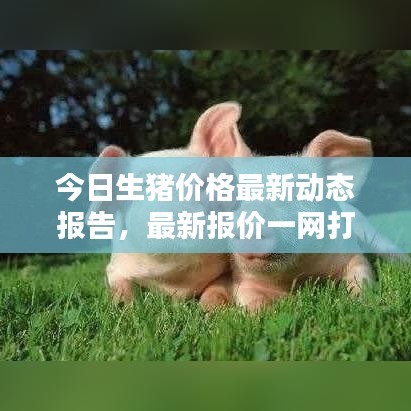 今日生猪价格最新动态报告，最新报价一网打尽！