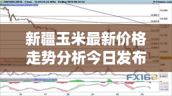 新疆玉米最新价格走势分析今日发布