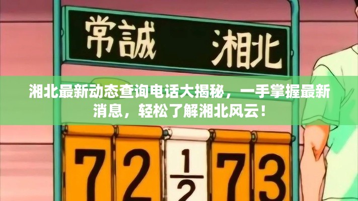 湘北最新动态查询电话大揭秘，一手掌握最新消息，轻松了解湘北风云！