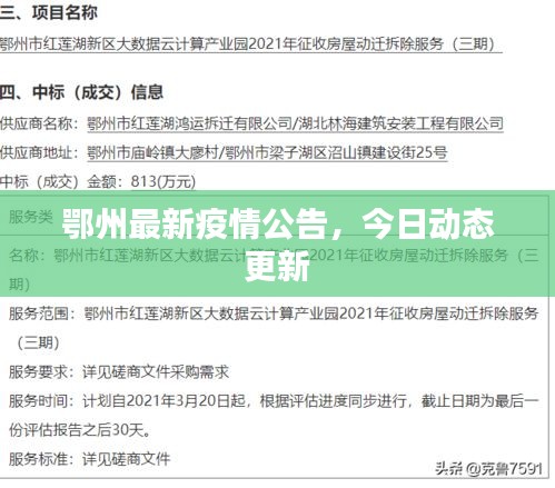 鄂州最新疫情公告，今日动态更新