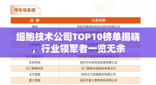 细胞技术公司TOP10榜单揭晓，行业领军者一览无余