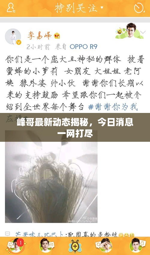 峰哥最新动态揭秘，今日消息一网打尽