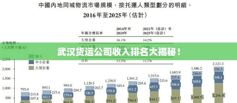 武汉货运公司收入排名大揭秘！