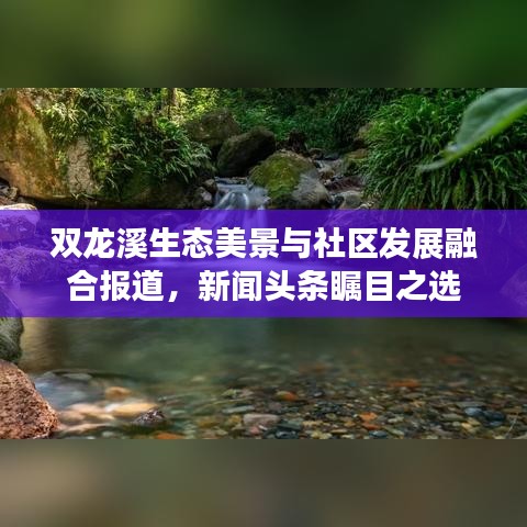 双龙溪生态美景与社区发展融合报道，新闻头条瞩目之选