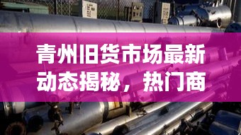 青州旧货市场最新动态揭秘，热门商品交易、人气火爆！