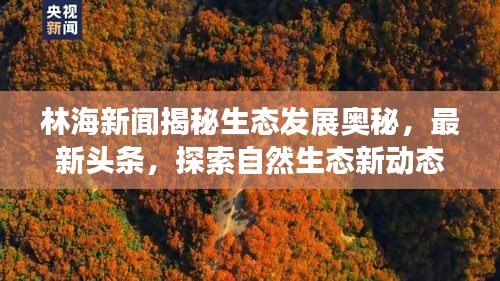 林海新闻揭秘生态发展奥秘，最新头条，探索自然生态新动态