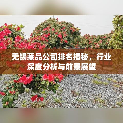 无锡藏品公司排名揭秘，行业深度分析与前景展望