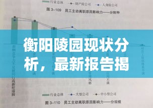 衡阳陵园现状分析，最新报告揭示现状全貌