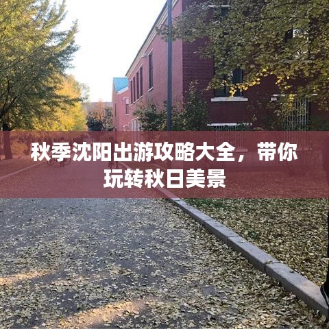 秋季沈阳出游攻略大全，带你玩转秋日美景