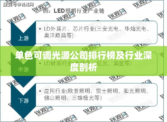 单色可调光源公司排行榜及行业深度剖析