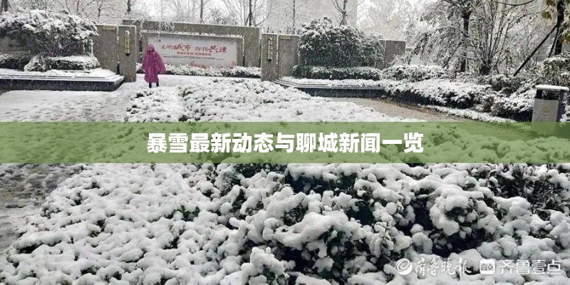 暴雪最新动态与聊城新闻一览