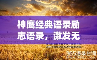 神鹰经典语录励志语录，激发无限潜能！