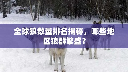 全球狼数量排名揭秘，哪些地区狼群繁盛？