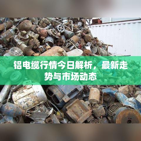 铝电缆行情今日解析，最新走势与市场动态