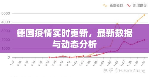 德国疫情实时更新，最新数据与动态分析
